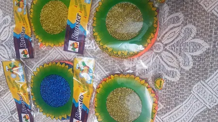 اسکاج روستر مدل خورشیدی بسته 4 عددی