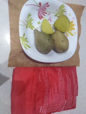 کیسه سیب زمینی آنتل مدل Express