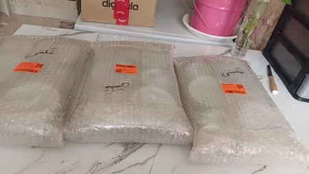 کاسه پارس اپال مدل رمانتیک کد 120