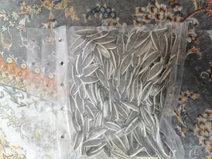 تجریه خرید تخمه آفتابگردان خام نچرال - 100 گرم