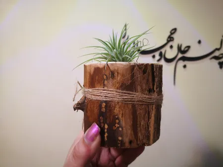 گلدان چوبی فیل چوب مدل GCH_ch