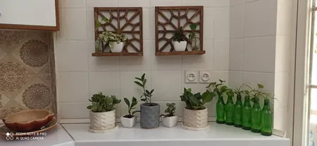 گلدان مدل S-PL-04A