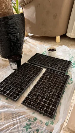 سینی نشا مدل 105 حفره کد HQ105 بسته 10 عددی