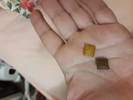 غذای تشویقی گربه دریمز مدل Snack With Beef and Chese وزن 60 گرم