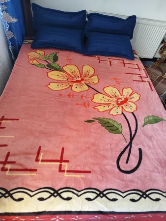 مبل تختخوابشو دونفره مدل کاپرینا