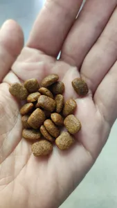 تجریه خرید غذای خشک گربه رفلکس پلاس مدل lamb & rice وزن 1.5 کیلوگرم