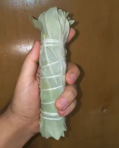 تجریه خرید اسماج مدل اکالیپتوس