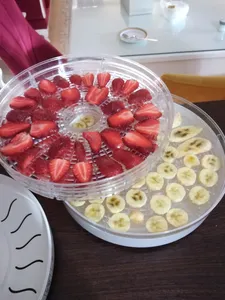 تجریه خرید میوه و سبزی خشک کن سایا مدل GP 103