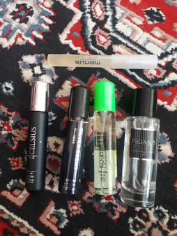 عطر جیبی مردانه اسکلاره مدل Silver Scent حجم 30 میلی لیتر