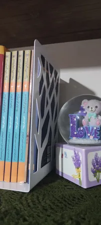 نگهدارنده کتاب نیتا کد 118-1 بسته 2 عددی