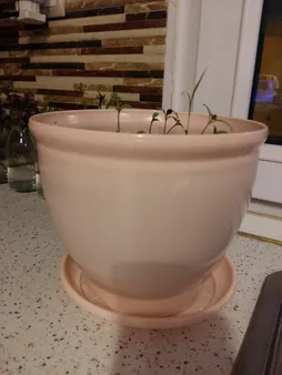 گلدان مدل 3015