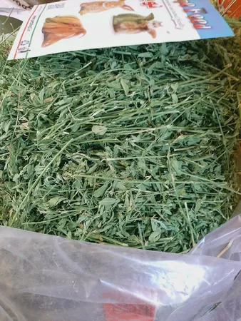 یونجه جوندگان مدل نوین وزن 1000 گرم