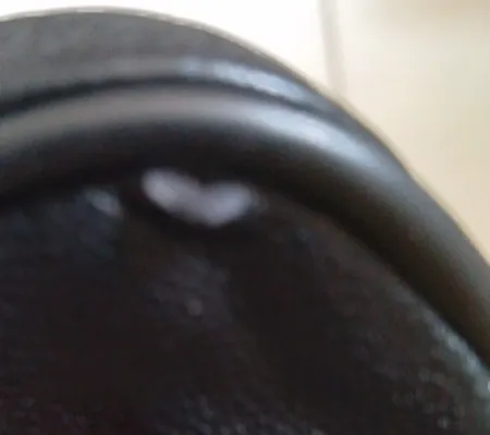 کیف پول زنانه مدل A1