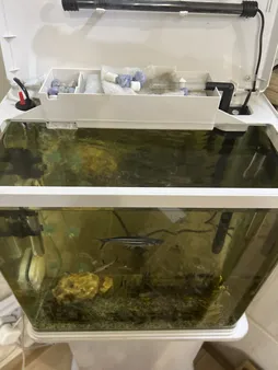 ابر فیلتر آکواریوم اکسیر مدل 61235 مجموعه 5 عددی