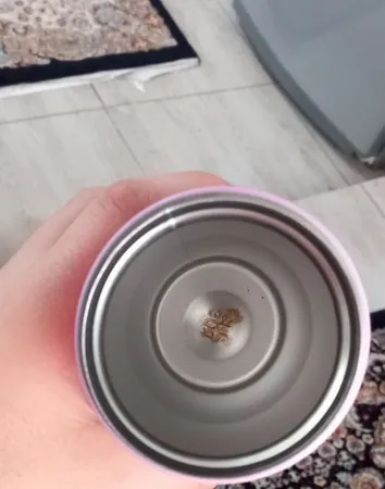 ماگ مدل تراول 5-1-1