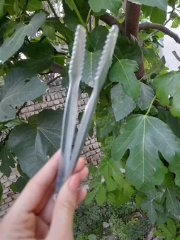 انبر زغال مدل FP212