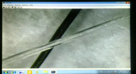 میکروسکوپ دیجیتال مدل 1000X