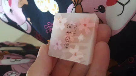 پاک کن مدل مغزدار ژله ای شکوفه بسته 2 عددی