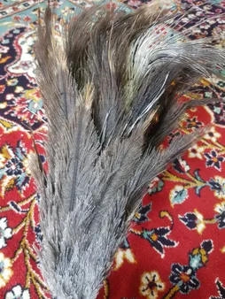 گردگیر مدل RM 50