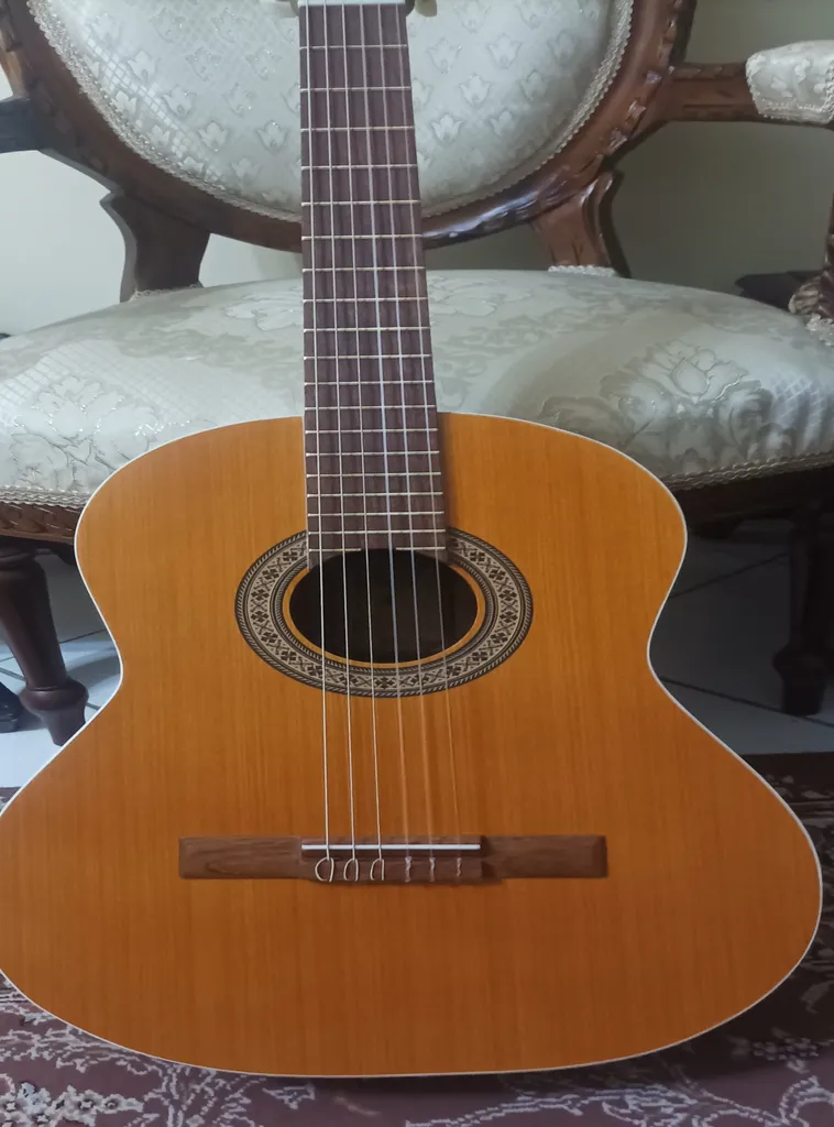 گیتار کلاسیک پارسی مدل m5