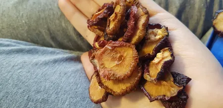 آلو شابلون اسلایسی خشک - 300 گرم