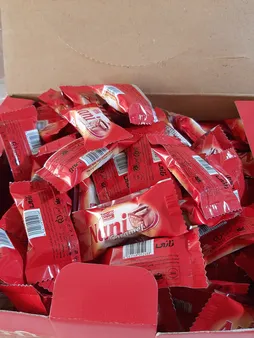 شکلات مغز دار نانی شیرین عسل -800 گرم بسته 100 عددی