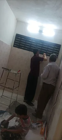 گلدان دیواری طرح دیوار سبز مدل Lotus بسته 6 عددی