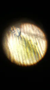 تجریه خرید میکروسکوپ مدیک مدل MH-1200L