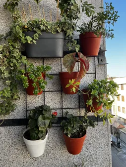 گلدان مدل GRW15