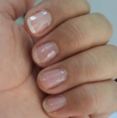 تاپ کت گلباران مدل 1221