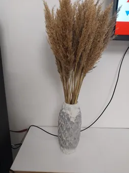 گل خشک مدل پامپاس پاک شده مجموعه 6 عددی
