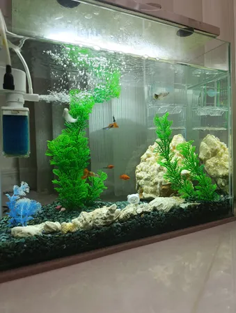 زایشگاه ماهی رویال مدل sn_113