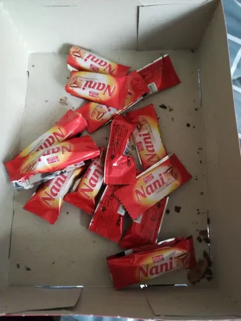 شکلات مغز دار نانی شیرین عسل -800 گرم بسته 100 عددی