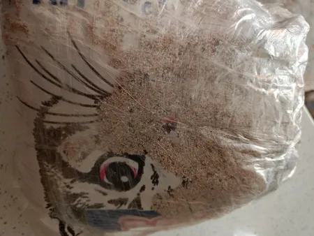 خاک بستر گربه تاینی کت مدل P1 وزن 10 کیلوگرم