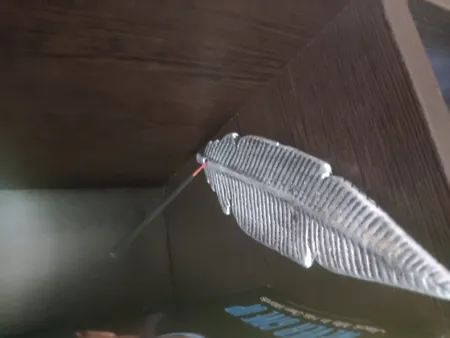 جاعودی مدل پر اکالیپتوس