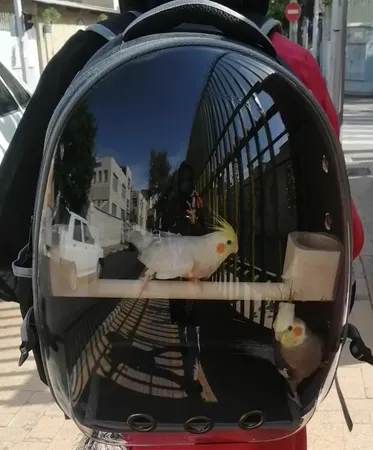 کوله پشتی حمل پرندگان مدل Z001