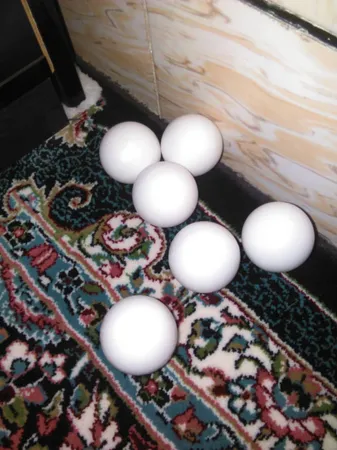 توپ پینگ پنگ کد 012 بسته 6 عددی