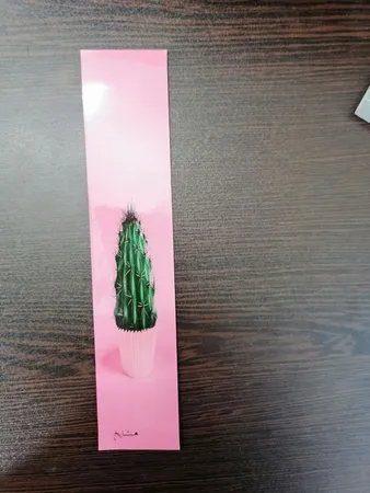 نشانگر کتاب مشایخ طرح کاکتوس کد N5130