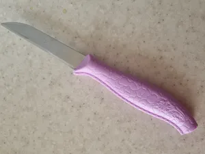 تجریه خرید کارد میوه خوری بیوتی مدل VB-50 مجموعه 12 عددی