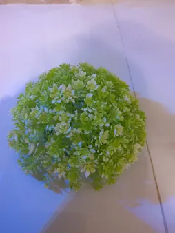 گیاه تزیینی آکواریوم آکوا مارس کد B09