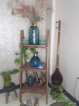 رینگ لایت مدل LC-888