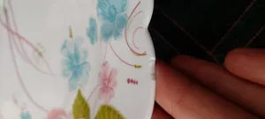 تجریه خرید سرویس غذا خوری 25 پارچه آیروپال طرح کنگره مدل پیکو