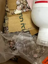 تجریه خرید ژل بهداشتی بانوان اویدرم مدل ضدقارچ حجم 100 میلی لیتر