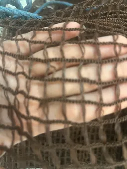 تور بدمینتون مدل 2022