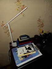 تجریه خرید چراغ مطالعه باسئوس مدل DGZG-0G