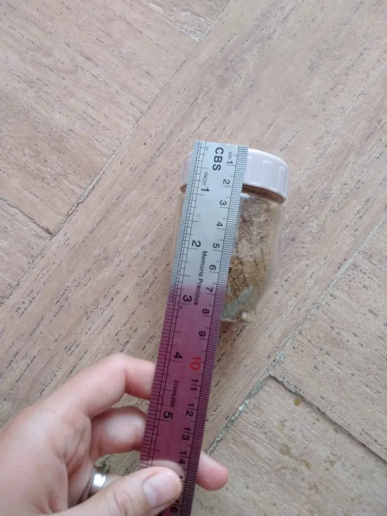 ادویه پاش Ariasam کد 100a بسته سه عددی