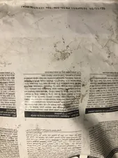 تجریه خرید غذای خشک گربه رویال کنین مدل +7 Indoor وزن 1.5 کیلوگرم