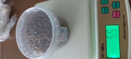 تشویقی مرغ مینا فود فارمز لند مدل میل ورم وزن 50 گرم