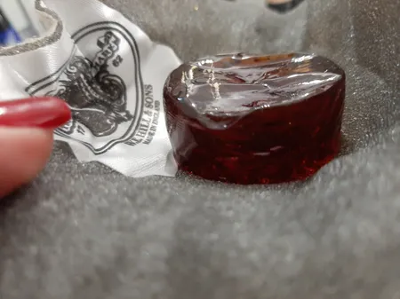 کلیفون ویولن هیل مدل Hil light