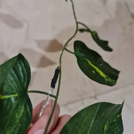 ریسه ال ای دی طرح برگ پتوس طول 2 متر